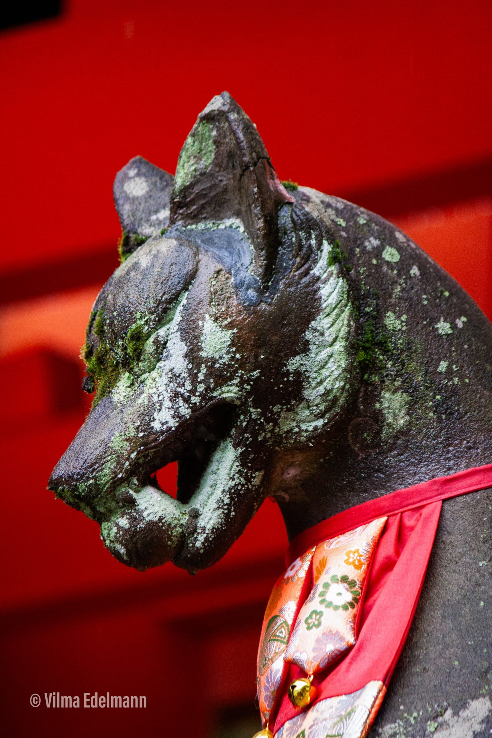 Tamatsukuri Inari Shrine 2026